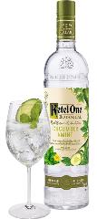 Ketel One Botanicals Cucumber/Mint fles 70 cl